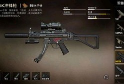 和平精英新枪最新爆料,神秘性能引发热议，玩家期待新战力加入