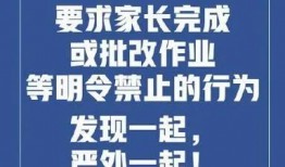 郑州中小学最新爆料,揭秘校园生活新动态