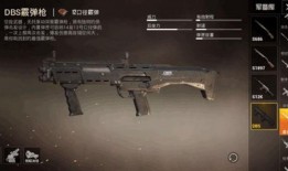 和平精英新枪最新爆料,神秘性能引发热议，玩家期待新战力加入