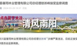 河南爆料今日头条最新消息,今日头条聚焦重大事件，揭秘背后真相