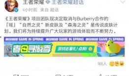 爱你最新皮肤爆料视频,炫酷特效与独特设计首度曝光